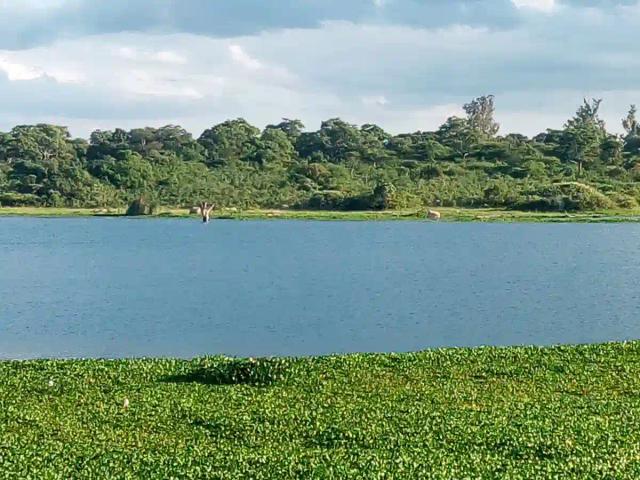Masvingo Major Dams On The Verge Of Drying Up