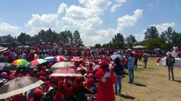 MDC Defies Tsvangirai Family Over Party Regalia Ban