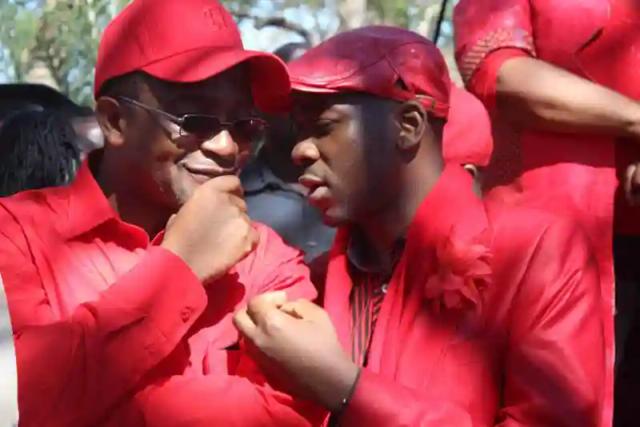 MDC Factions Are On A Race To The Bottom - Obert Gutu