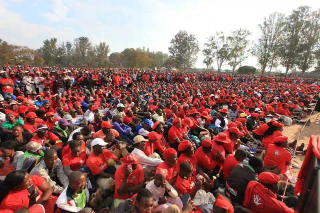 MDC-T is not heading for a split says Obert Gutu