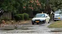 Met Department warns of heavy rains and flash floods