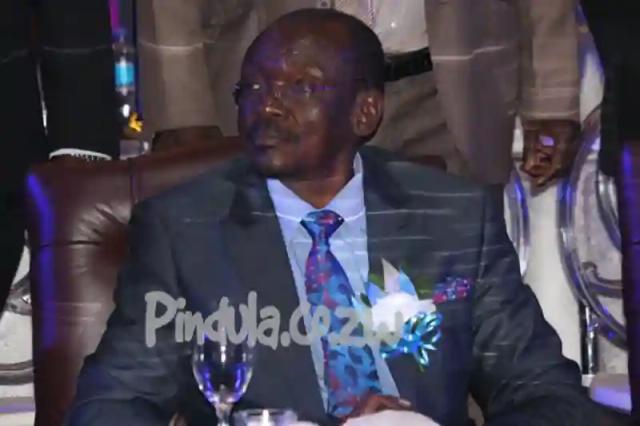 Mining And  Agriculture Must Work Together To Create Pro-Poor Development -  VP Mohadi