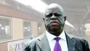 Minister Mhona Criticised For Appointing 81-Year-Old Tshinga Dube To NRZ Board