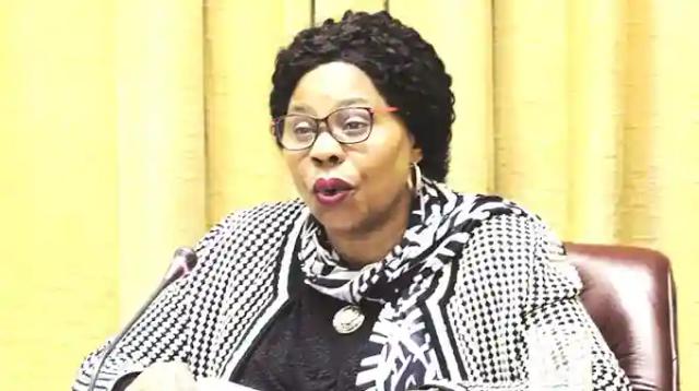 Minister Mutsvangwa Loses US$25 000 To Housemaid