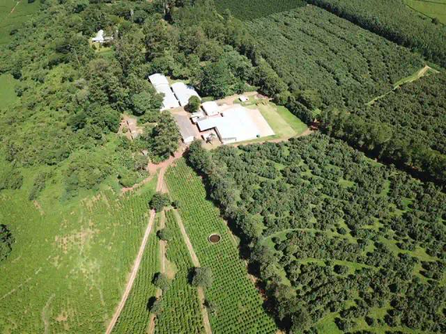 Minister's Son Blocked From Grabbing Lush Coffee Estate