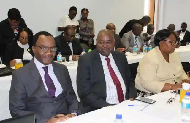 Mnangagwa Handpicks James Maridadi As Ambassador-designate