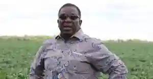 "Mnangagwa Unlikely To Be Arrested Over Susan Mutami Rape Allegations" - Legal Expert