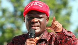 Mnangagwa Won 2018 Elections, Says Komichi