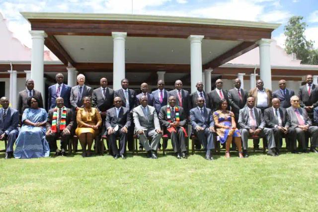 Mnangagwa's Advisors Set Up Committees