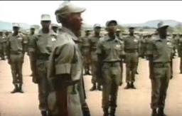 Mugabe already training youth militia (Green Bombers) ahead of 2018 elections says ZPP