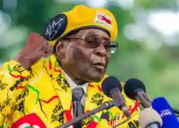 "Mugabe Did Not Vote For Chamisa", Senior Govt Official
