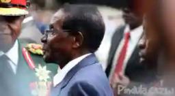 Mugabe Resigns