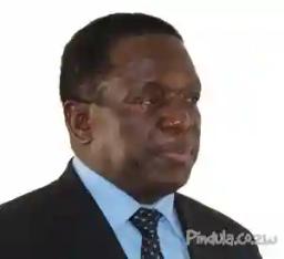Mutsvangwa Says Mnangagwa May Lose Elections, Blames "Novice" General Rugeje