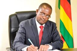 Mwonzora Suspends MDC-T Harare Provincial Chairperson