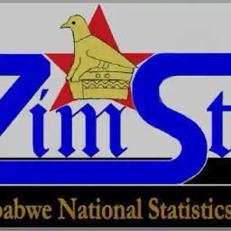 National Census: Zimstat Racing Against Time