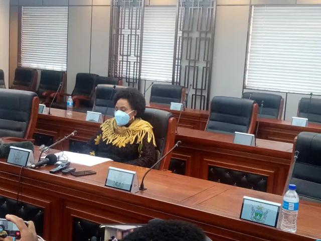 OPINION: Zim Govt Exposed On Flimsy Accusations - Tendai Mbofana