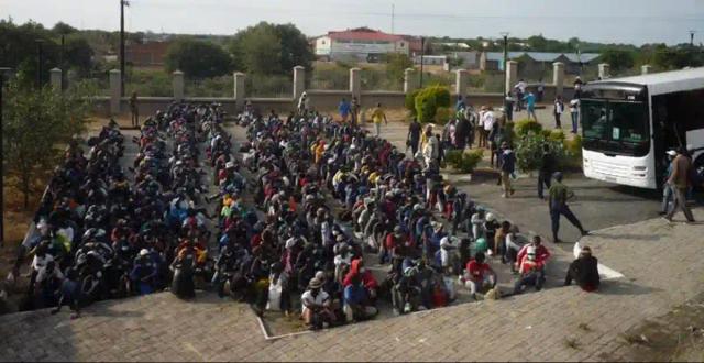 Over 250 000 Zimbabweans Deported Due To COVID-19