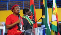 "Pasi neMbavha!" - Malema On Anti-Corruption Campaign In Zimbabwe