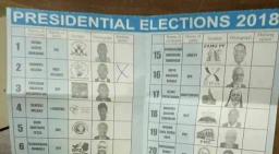 Pending Court Cases Delay Printing Of Ballot Papers - ZEC