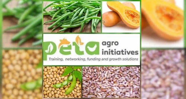 Peta Agro Offers Agric Training In Green Beans, Soya Beans, Sugar Beans & Butternuts