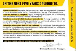PICTURE: A Blast From The Past, ED's Campaign Promise On Healthcare