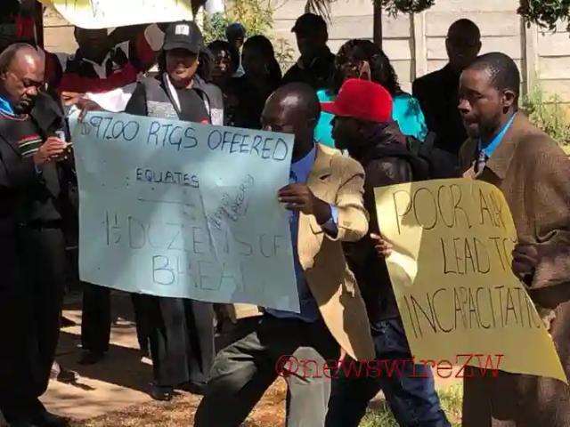 PICTURE: Apex Council Officials Stage A Demo In Harare