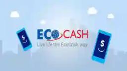 PICTURE: "Ecocash Agent" Displays Huge Amounts Of Cash, At "Undesignated Site"