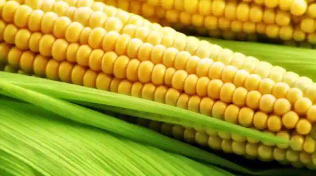 PICTURE: Headmaster Caught Stealing Green Maize In Mutoko - REPORT