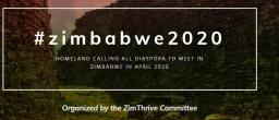 PICTURE: Kenya Airways Offering Discounts To Anyone Travelling To Zimbabwe For The ZimThrive Homecoming Summit
