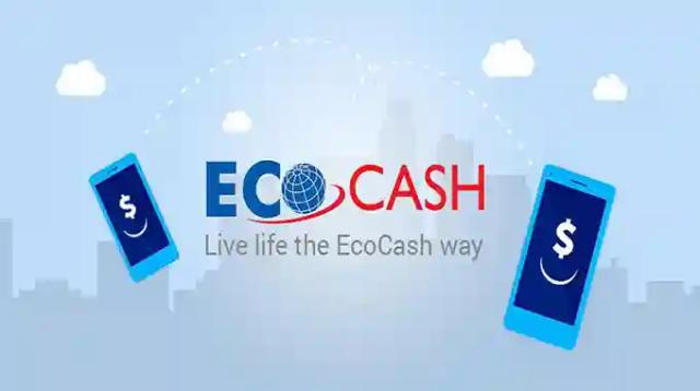 PICTURE: Know Your EcoCash Transaction Limit