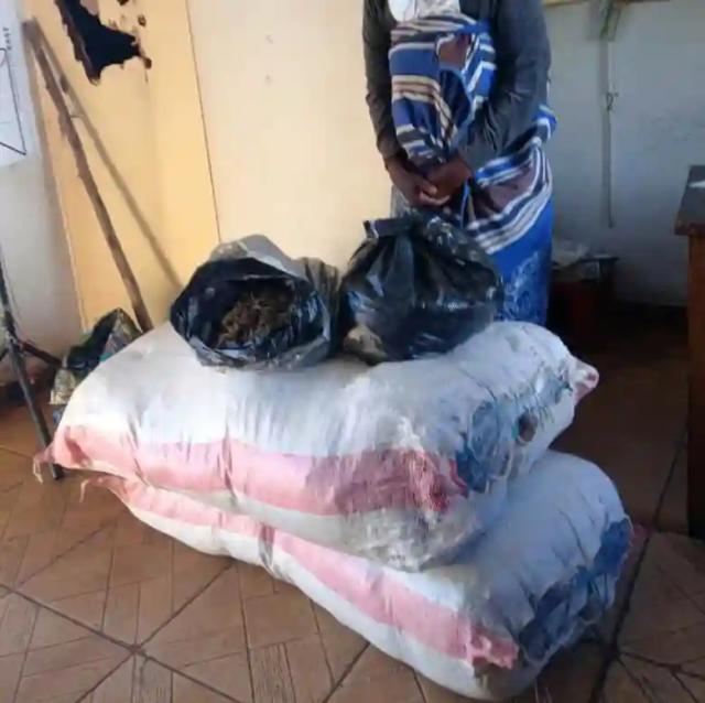PICTURE: Marondera Woman Found With 52kg Of Mbanje