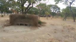 PICTURES: Karoi Urban Park Neglected