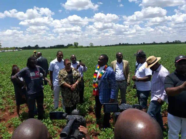 PICTURES: President Mnangagwa Meets Members Of POLAD At His Farm