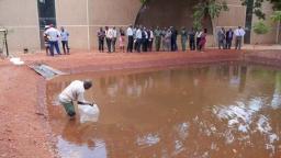PICTURES: ZANU PF Teaches Supporters Aquaculture