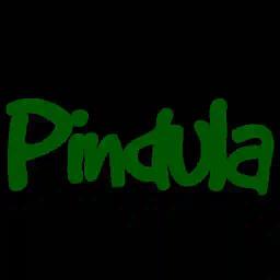 Pindula Used An Akashinga Picture Inappropriately And We apologise