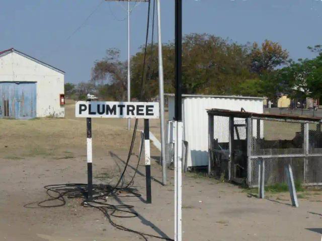 Plumtree Border Post Institutes A 24 Hour Working Shift