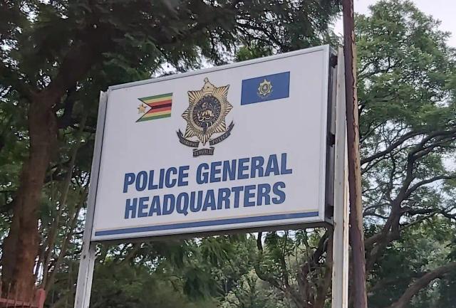 Police "Investigating" ZANU PF Official Who Called For Nelson Chamisa To Be Killed