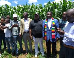 Police Officer Steals From Mnangagwa's Farm