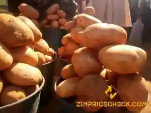 Potato Farmer Talks Potato Seed Production