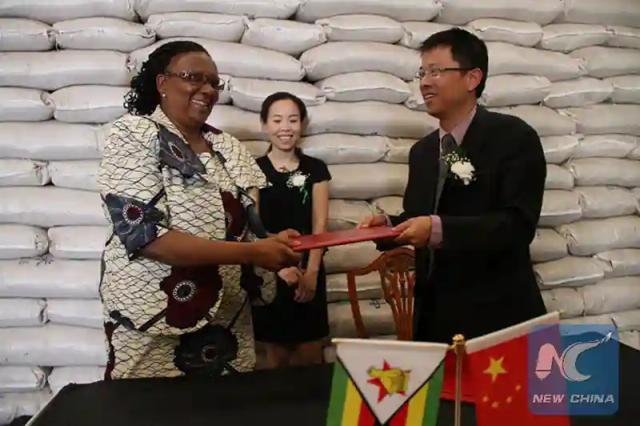 Prisca Mupfumira and Webster Shamu accused of assisting Chinese to smuggle blankets to avoid paying duty