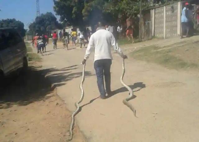 "Prophet" accused of hiring ‘witches’ to boost business claims to have helped Budiriro man get rid of snakes