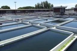 Rehabilitation Of Morton Jaffray Waterworks Commences