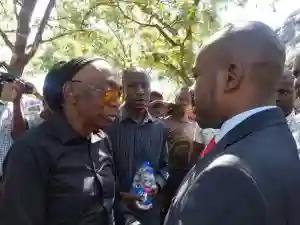 Responses To "The Zimbabwe Bird Is Part Of Our Problems" By Chamisa
