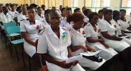 Review The Nursing Electronic Application System - Matabeleland Pressure Group