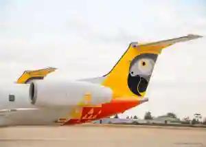 RGMI Airport Bird Strike Grounds Fastjet Aircraft