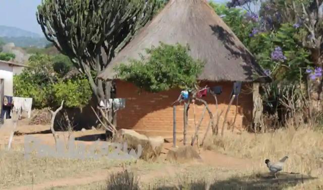 'S_xtortion' Rife In Rural Zimbabwe - Report