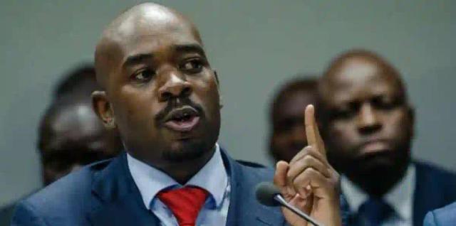 "Sanctions Must Go Yesterday" - CCC President Nelson Chamisa