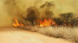 Security Guard (80) Killed By Wild Veldfire In Banket