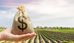 Seed Companies Facing A Financial Crisis Due To A Govt Debt Of Over US$60 Million