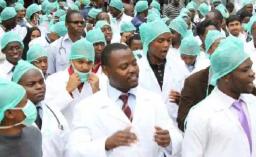 Senior Doctors Want Fired Doctors Reinstated Immediately